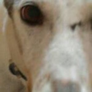 Meet your Posher, Tiff